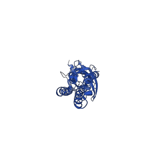 16068_8bhs_E_v1-3
GABA-A receptor a5 homomer - a5V3 - RO4938581