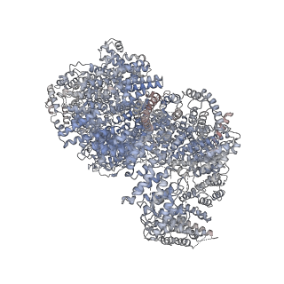 16070_8bhv_F_v1-0
DNA-PK XLF mediated dimer bound to PAXX