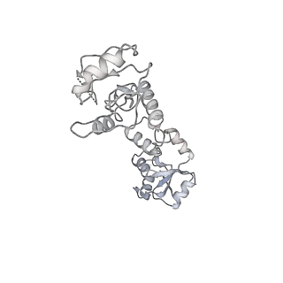 16070_8bhv_P_v1-0
DNA-PK XLF mediated dimer bound to PAXX