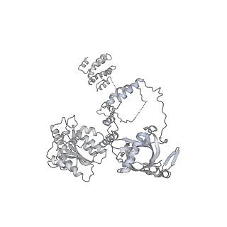 16070_8bhv_b_v1-0
DNA-PK XLF mediated dimer bound to PAXX