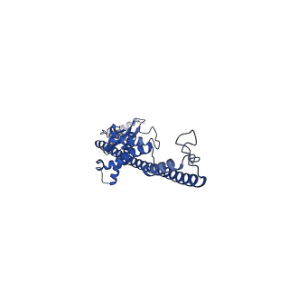 16071_8bhw_B_v1-1
Full-length bacterial polysaccharide co-polymerase WzzE from E. coli. C4 symmetry