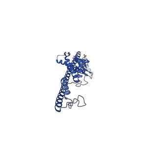 16071_8bhw_D_v1-1
Full-length bacterial polysaccharide co-polymerase WzzE from E. coli. C4 symmetry