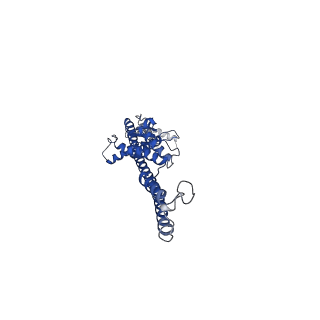 16071_8bhw_E_v1-1
Full-length bacterial polysaccharide co-polymerase WzzE from E. coli. C4 symmetry