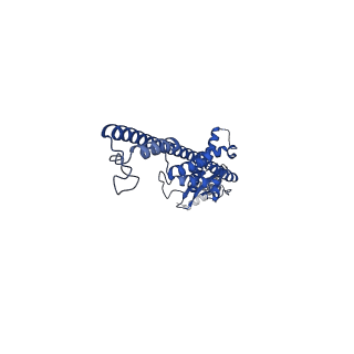 16071_8bhw_F_v1-1
Full-length bacterial polysaccharide co-polymerase WzzE from E. coli. C4 symmetry
