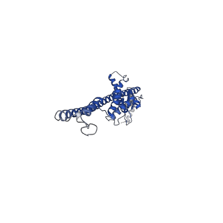 16071_8bhw_G_v1-1
Full-length bacterial polysaccharide co-polymerase WzzE from E. coli. C4 symmetry
