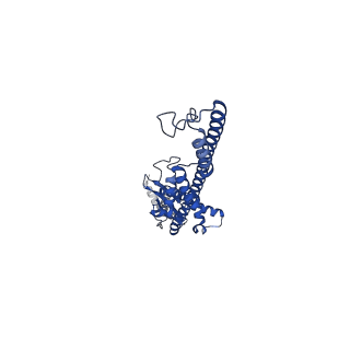 16071_8bhw_H_v1-1
Full-length bacterial polysaccharide co-polymerase WzzE from E. coli. C4 symmetry