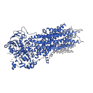 7099_6bhu_A_v1-6
Cryo-EM structure of ATP-bound, outward-facing bovine multidrug resistance protein 1 (MRP1)