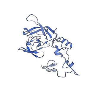 16086_8bip_LA_v1-1
Structure of a yeast 80S ribosome-bound N-Acetyltransferase B complex