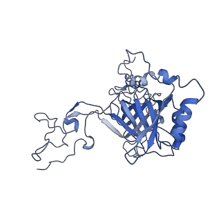 16086_8bip_LB_v1-1
Structure of a yeast 80S ribosome-bound N-Acetyltransferase B complex