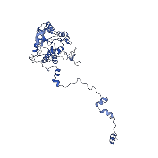 16086_8bip_LC_v1-1
Structure of a yeast 80S ribosome-bound N-Acetyltransferase B complex