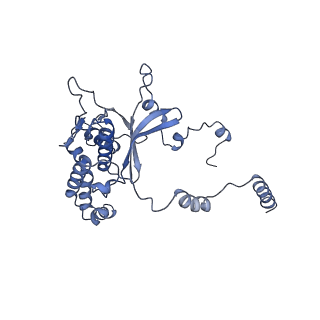 16086_8bip_LD_v1-1
Structure of a yeast 80S ribosome-bound N-Acetyltransferase B complex