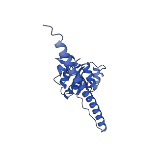 16086_8bip_LF_v1-1
Structure of a yeast 80S ribosome-bound N-Acetyltransferase B complex
