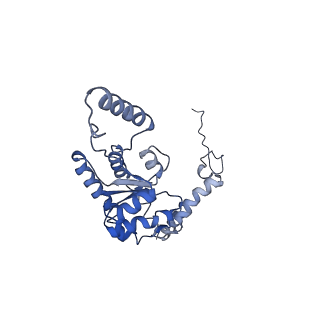 16086_8bip_LG_v1-1
Structure of a yeast 80S ribosome-bound N-Acetyltransferase B complex