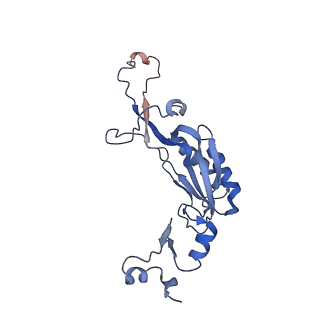 16086_8bip_LI_v1-1
Structure of a yeast 80S ribosome-bound N-Acetyltransferase B complex
