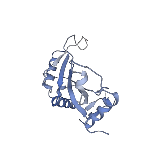 16086_8bip_LJ_v1-1
Structure of a yeast 80S ribosome-bound N-Acetyltransferase B complex
