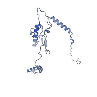 16086_8bip_LL_v1-1
Structure of a yeast 80S ribosome-bound N-Acetyltransferase B complex