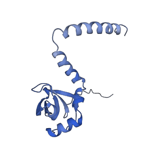 16086_8bip_LM_v1-1
Structure of a yeast 80S ribosome-bound N-Acetyltransferase B complex