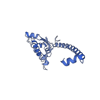 16086_8bip_LO_v1-1
Structure of a yeast 80S ribosome-bound N-Acetyltransferase B complex
