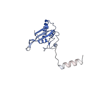 16086_8bip_LP_v1-1
Structure of a yeast 80S ribosome-bound N-Acetyltransferase B complex