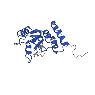 16086_8bip_LQ_v1-1
Structure of a yeast 80S ribosome-bound N-Acetyltransferase B complex
