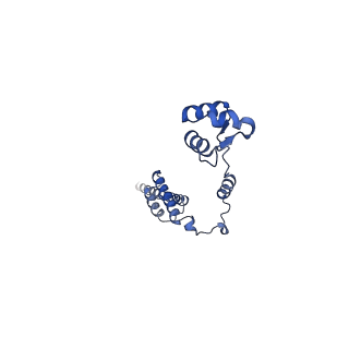16086_8bip_LR_v1-1
Structure of a yeast 80S ribosome-bound N-Acetyltransferase B complex