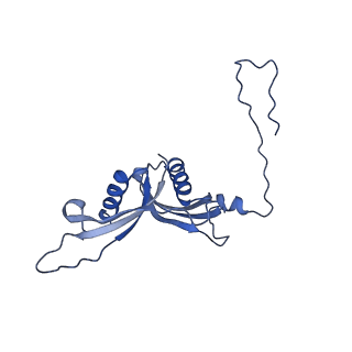 16086_8bip_LS_v1-1
Structure of a yeast 80S ribosome-bound N-Acetyltransferase B complex