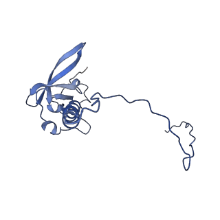 16086_8bip_LT_v1-1
Structure of a yeast 80S ribosome-bound N-Acetyltransferase B complex