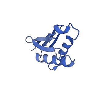 16086_8bip_LU_v1-1
Structure of a yeast 80S ribosome-bound N-Acetyltransferase B complex