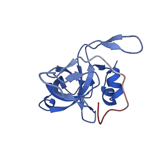 16086_8bip_LV_v1-1
Structure of a yeast 80S ribosome-bound N-Acetyltransferase B complex