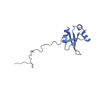 16086_8bip_LX_v1-1
Structure of a yeast 80S ribosome-bound N-Acetyltransferase B complex