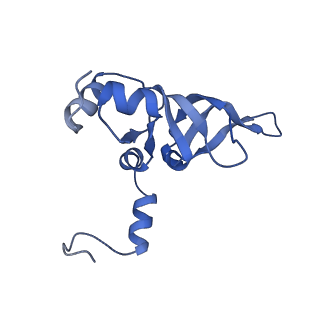 16086_8bip_LY_v1-1
Structure of a yeast 80S ribosome-bound N-Acetyltransferase B complex