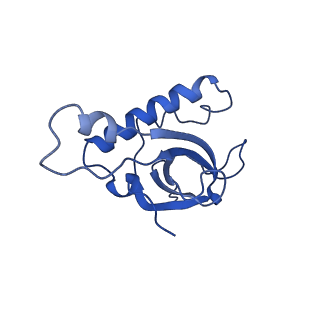 16086_8bip_LZ_v1-1
Structure of a yeast 80S ribosome-bound N-Acetyltransferase B complex