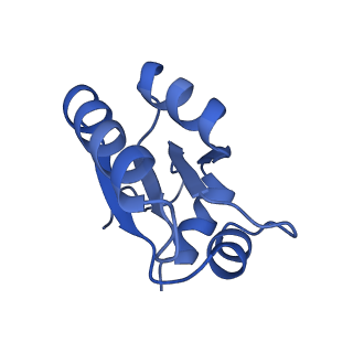 16086_8bip_Lc_v1-1
Structure of a yeast 80S ribosome-bound N-Acetyltransferase B complex
