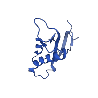 16086_8bip_Ld_v1-1
Structure of a yeast 80S ribosome-bound N-Acetyltransferase B complex