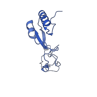 16086_8bip_Le_v1-1
Structure of a yeast 80S ribosome-bound N-Acetyltransferase B complex