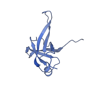16086_8bip_Lf_v1-1
Structure of a yeast 80S ribosome-bound N-Acetyltransferase B complex