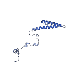 16086_8bip_Lh_v1-1
Structure of a yeast 80S ribosome-bound N-Acetyltransferase B complex