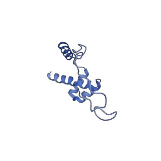 16086_8bip_Li_v1-1
Structure of a yeast 80S ribosome-bound N-Acetyltransferase B complex