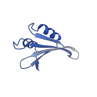 16086_8bip_Lk_v1-1
Structure of a yeast 80S ribosome-bound N-Acetyltransferase B complex