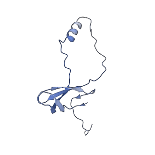 16086_8bip_Lo_v1-1
Structure of a yeast 80S ribosome-bound N-Acetyltransferase B complex