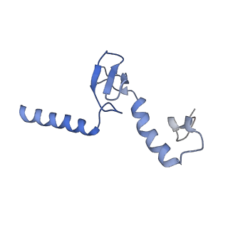 16086_8bip_Lp_v1-1
Structure of a yeast 80S ribosome-bound N-Acetyltransferase B complex