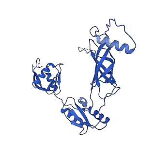 12193_7bj2_a_v1-2
Salmonella flagellar basal body assembly intermediate - P ring alone structure