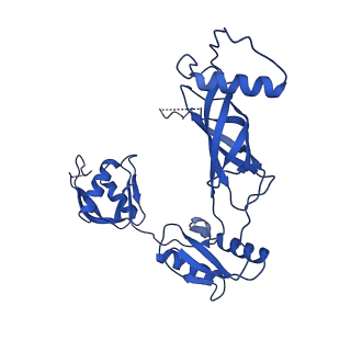 12193_7bj2_b_v1-2
Salmonella flagellar basal body assembly intermediate - P ring alone structure