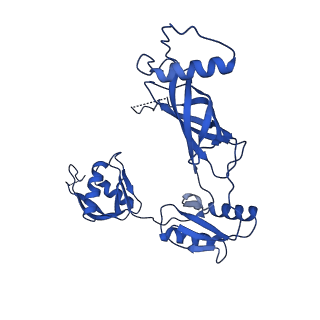 12193_7bj2_c_v1-2
Salmonella flagellar basal body assembly intermediate - P ring alone structure