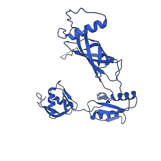 12193_7bj2_d_v1-2
Salmonella flagellar basal body assembly intermediate - P ring alone structure