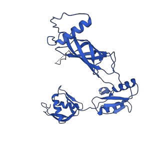 12193_7bj2_e_v1-2
Salmonella flagellar basal body assembly intermediate - P ring alone structure