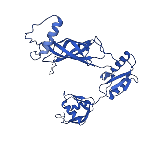 12193_7bj2_g_v1-2
Salmonella flagellar basal body assembly intermediate - P ring alone structure