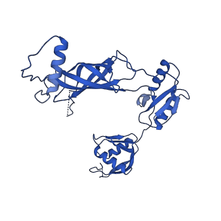 12193_7bj2_h_v1-2
Salmonella flagellar basal body assembly intermediate - P ring alone structure