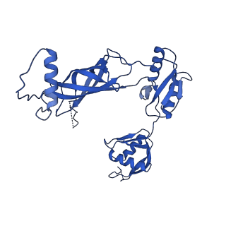 12193_7bj2_i_v1-2
Salmonella flagellar basal body assembly intermediate - P ring alone structure