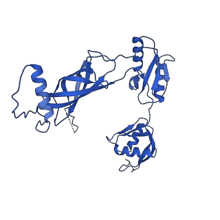 12193_7bj2_j_v1-2
Salmonella flagellar basal body assembly intermediate - P ring alone structure